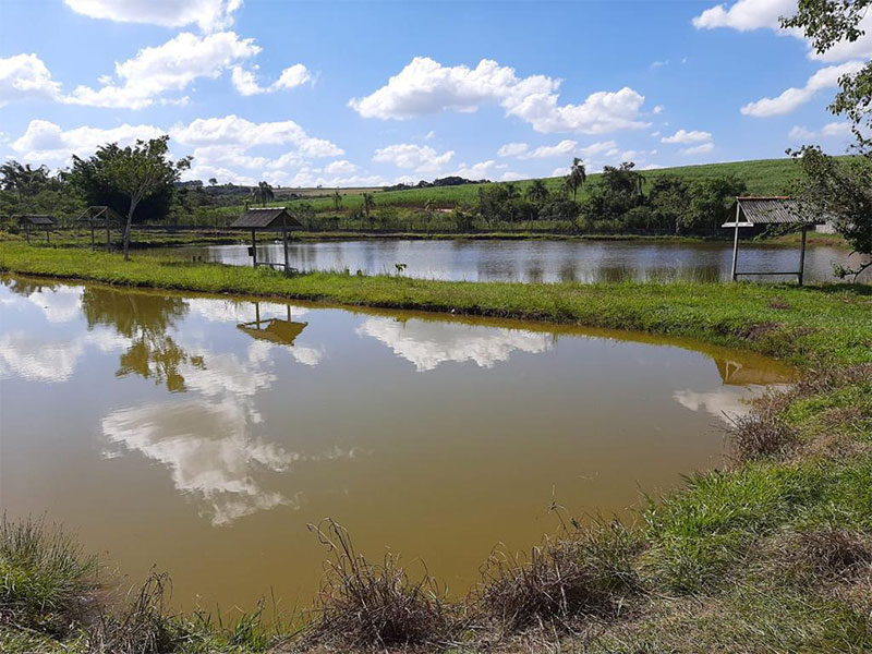 lago-clube-de-campo-pesca
