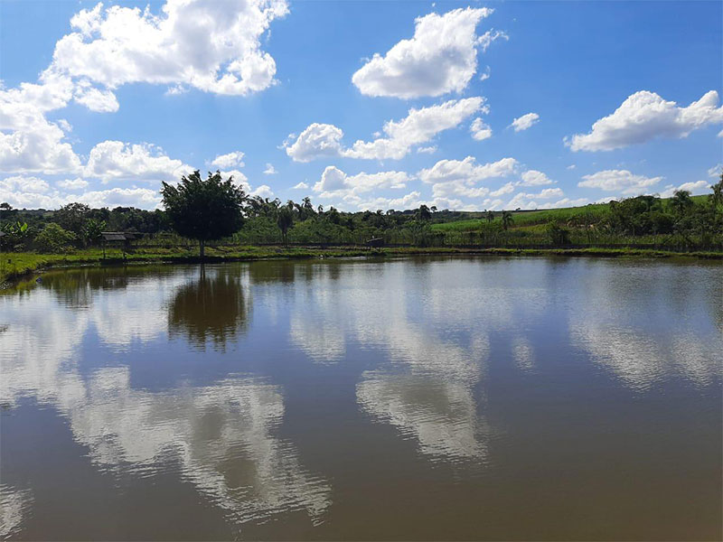 lago-clube-de-campo